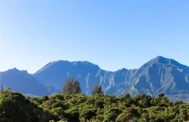 S Of Kamalii 47 3 Bedroom Home by RedAwning - Photo 1