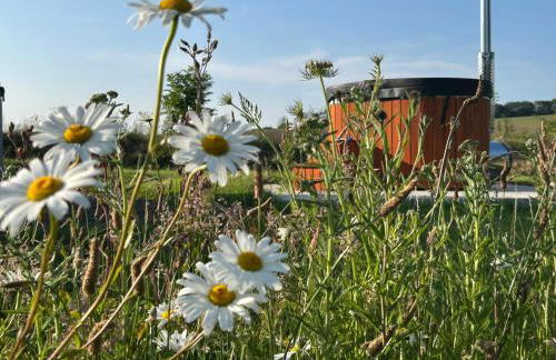 Cosy Owls Roost Hut With Private Hot Tub - Foto 43