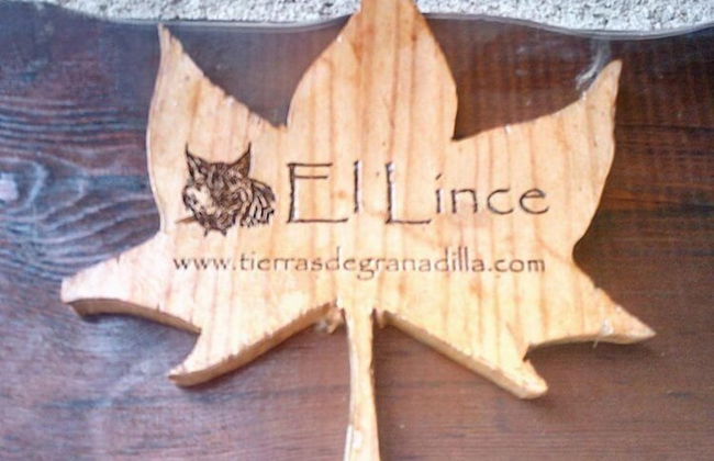 Apartamentos tierras de Granadilla - Foto 16