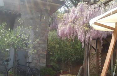 La Gabbianella e il Gatto - Foto 14