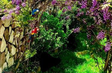 Bella Vista - Foto 32