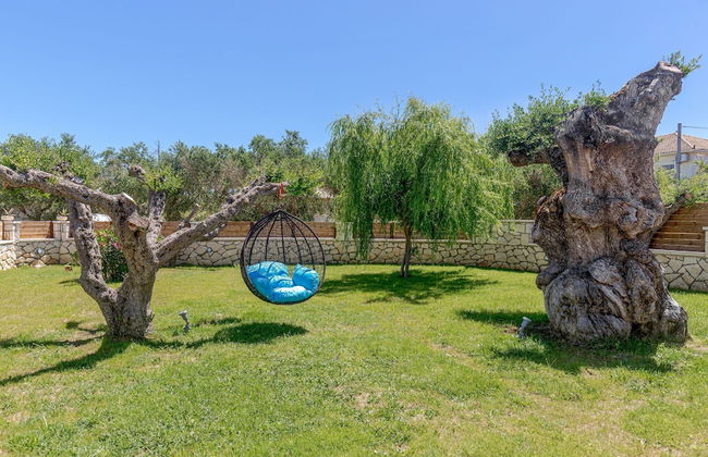 Tierra Olivo - Foto 42