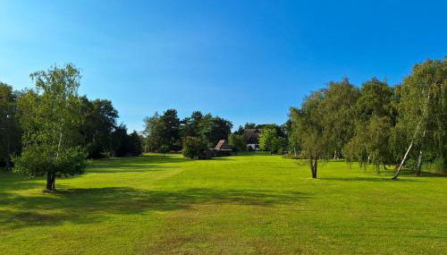 Schilfkante - Am Ufer - Foto 2