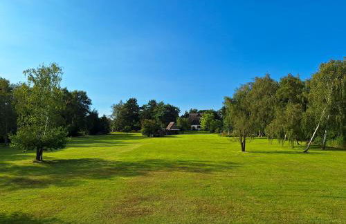 Schilfkante - Am Ufer - Foto 2