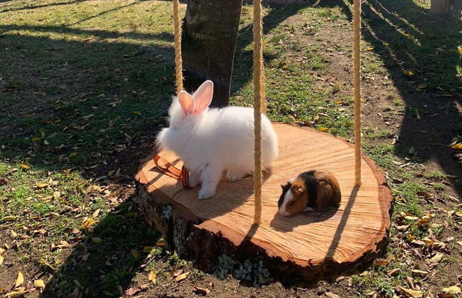 Visita a la estancia Santa Bárbara - Foto 6