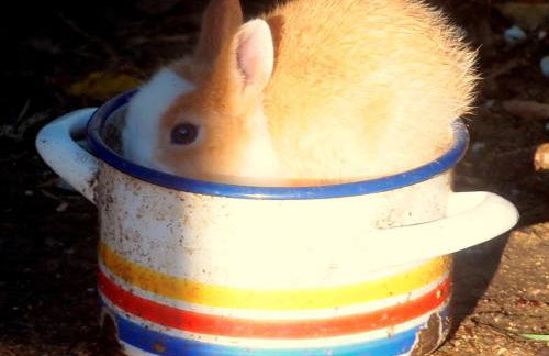 Agriturismo La Terra - Foto 43