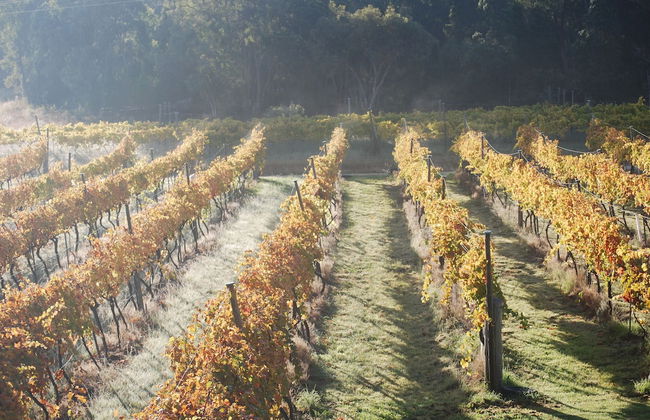 Twisted Gum Cottage - Photo 11