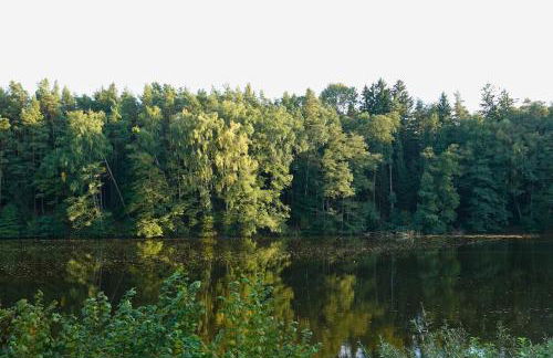 Tinyhouse Seeträumchen direkt am See mit Terrasse für 4 - Foto 32