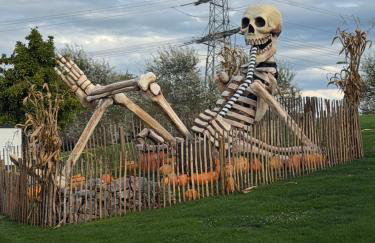 BraWa FeWo Ettenheim mit Garten nahe EuropaPark und Rulantica Rust - Foto 30