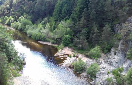 Le Petit St Jacques - Foto 19