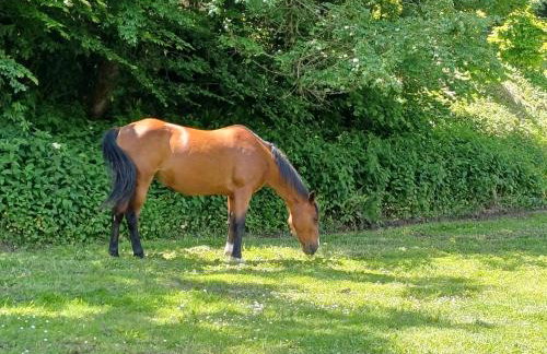 Logement d'exception dans le Château de Lacypierre - Foto 14