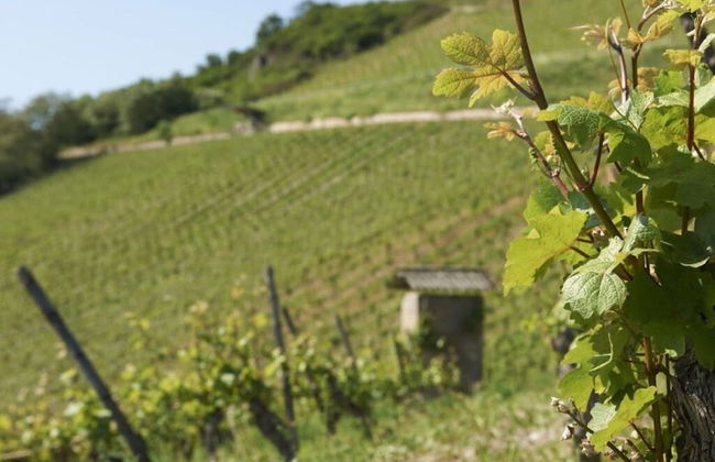 Holiday Apartment Schlossberg - Foto 7