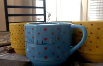 Hospedaria Recanto das Flores, perto Thermas - Foto 45