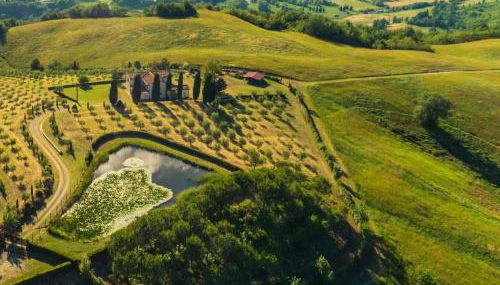 Libero Ranch - Foto 3, Garden