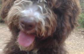 Apartamentos Rurales Ecopangea - Foto 28