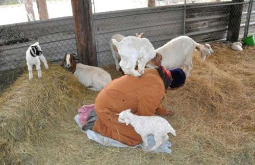 Lovely Cottage Rental with Waterfall on San Gabriel River near Austin, Texas - Foto 35