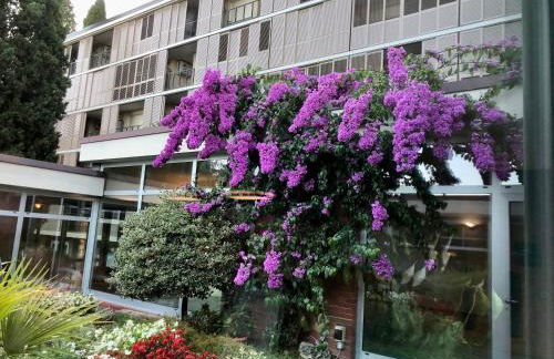 Residence Villa Alba - Foto 14