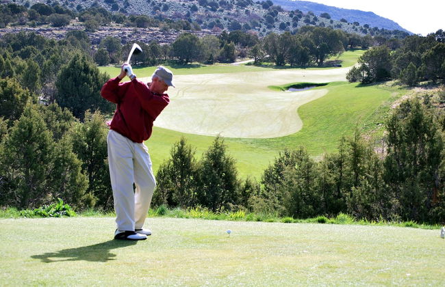 White Pines 1-BD Penthouse at Westgate - Tycoon - Photo 14