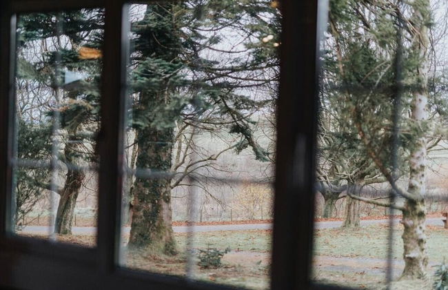 Cozy Hideway in Rural Mid Wales - Foto 25