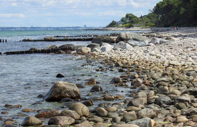 6 Person Holiday Home in Hornbaek - Photo 25