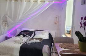 Au Fil De l' Eau 21 rue des Minotiers 43110 Aurec-sur-loire - Foto 9