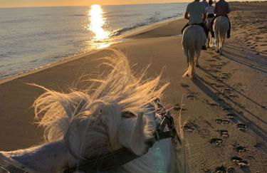 Studios MISTRAL21 en Camargue - Foto 32