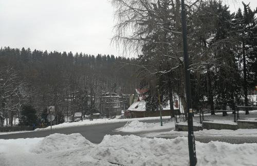 Apartament Parkowy - Foto 18