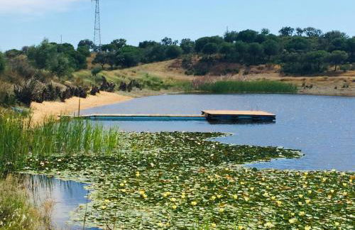 Quinta da Fornalha - Santuario Agroecologico - Foto 12
