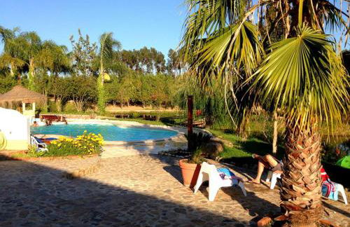 Herdade do Sardanito da Frente - Foto 75