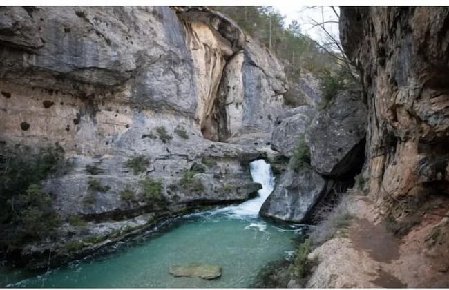 El Freginal - Foto 21