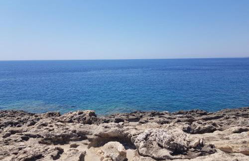 VENTO IN POPPA - Foto 76