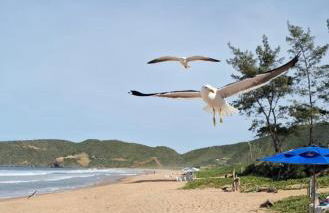 Casa Búzios - Aluguel Temporada - Foto 30