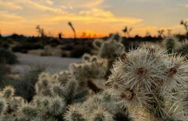 The Desert Shire Large HotTub,Large Pool,Stargazing Paradise - Foto 17