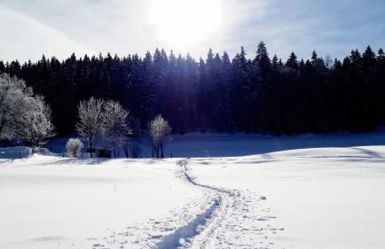 MV Vacances - Foto 15