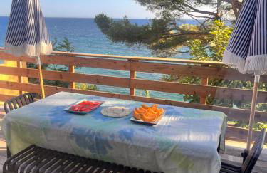 Cabanon moderne, les pieds dans l'eau, 2 chambres - Foto 6