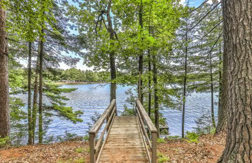 The Lazy Bear - Foto 8