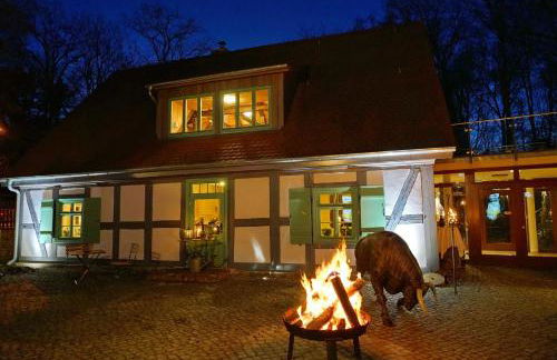 Apartment 4 - Gourmetzimmer - Foto 11