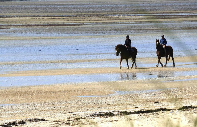 Country House in Normandy Near D-day Beaches - Foto 32