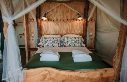 Dome Meadows 2 At Tapnell Farm - Photo 5