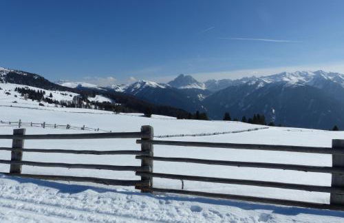 Pitznerhof - Foto 28