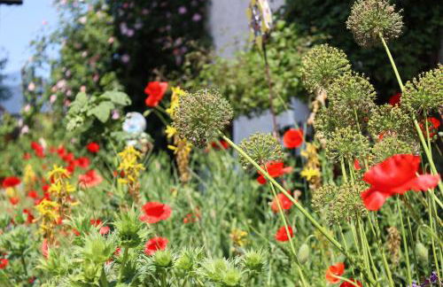 Höra‘s Apartments Hammerbergblick - Foto 12