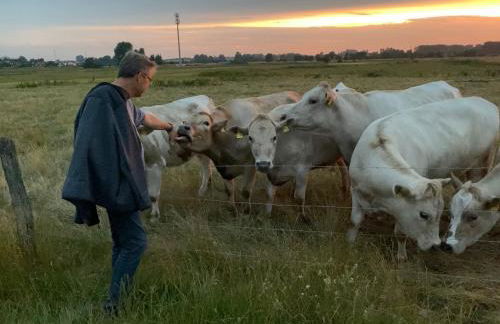 SOLund - Sonne im Herzen - ruhige und sonnige Ferienwohnung mit Terrasse und Garten nahe Strand und Ostsee - Foto 35