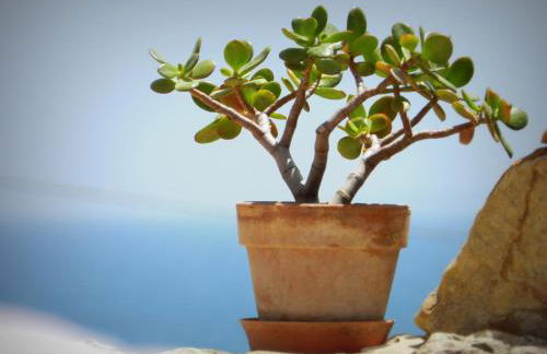 Appartamento Don Nino - Foto 29