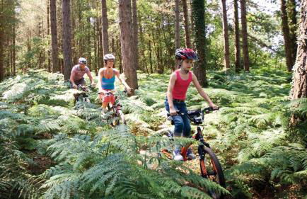 Jasmine Corner - entertainment passes included - message for longer stays - Foto 33