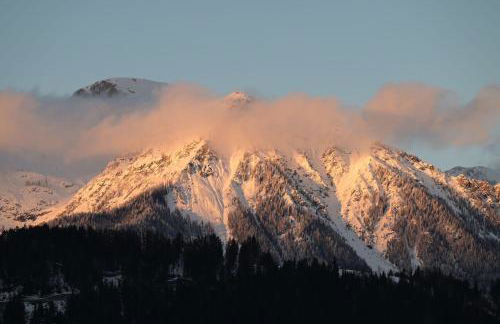 s´Bergnestle - Foto 35