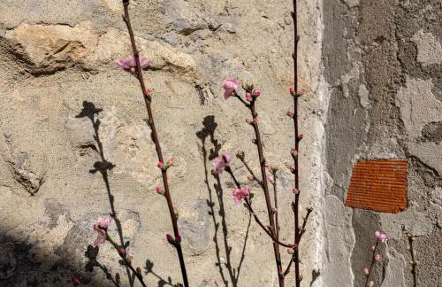 Tellaro, La Marina - Photo 48