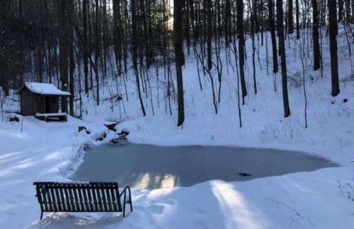 Bird's Nest cabin at Cabin Fever in NC - Foto 18