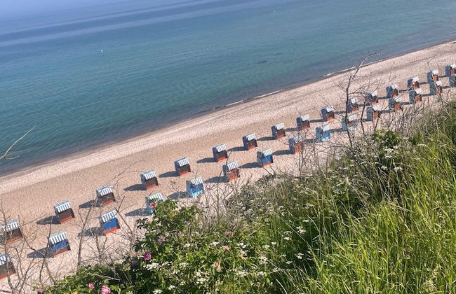 Bungalow Park am Salzhaff - Foto 51