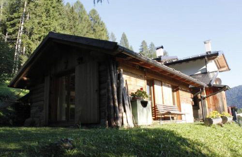 LA VOCE DEL BOSCO Selva di Cadore - Foto 8