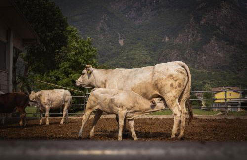Agriturismo La Campagnola - Foto 103